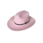 Silver Buckle Cowboy Hat