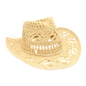Stylist Straw Cowboy Hat