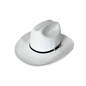 Silver Buckle Cowboy Hat