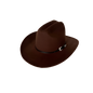 Silver Buckle Cowboy Hat